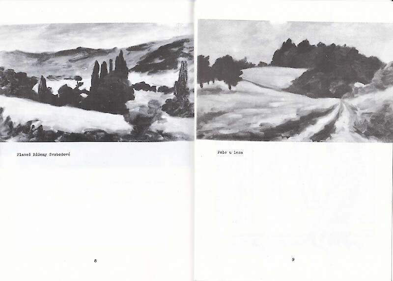 Adamov - katalóg - strany 8 a 9